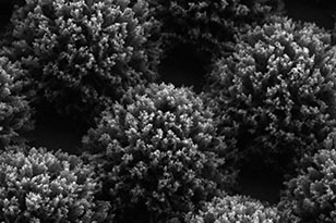 文山文山蔡司显微镜